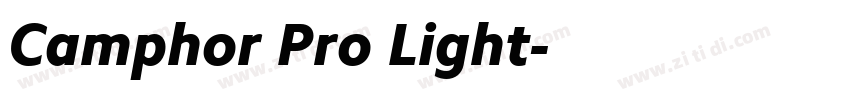 Camphor Pro Light字体转换